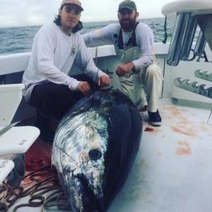 Meet your Posher, Frank